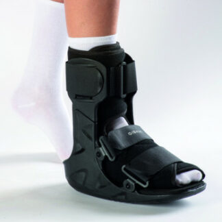 WALKER EQUALIZER BASSO DR.GIBAUD TG.02